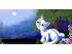 Мама Кошка ищет своего малыша