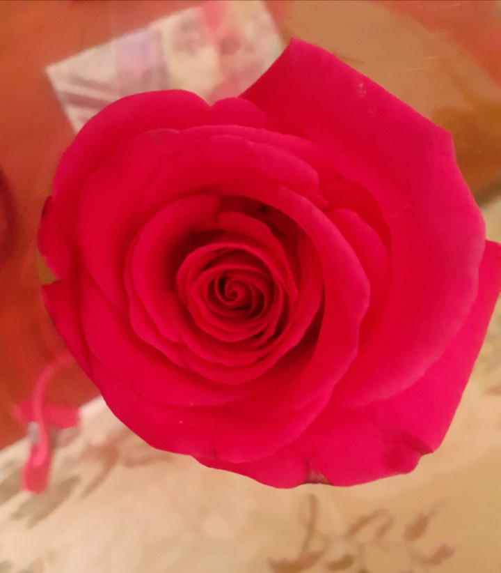 20230512_174726.jpg