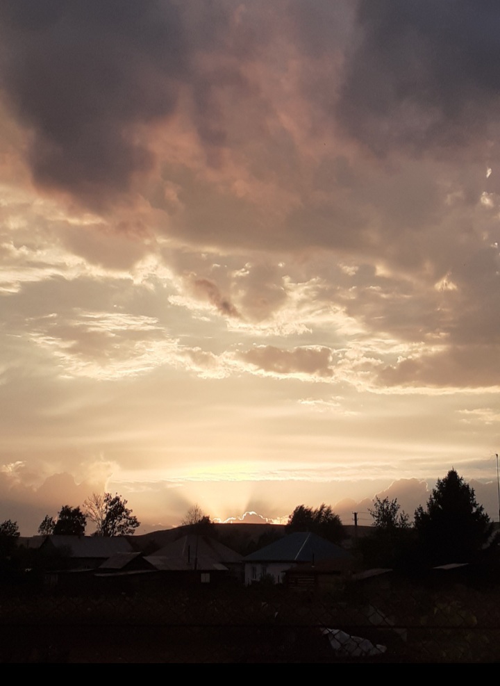 20230512_174653.jpg