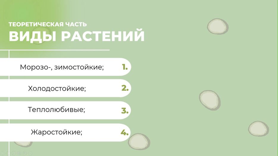 изображение_2023-05-13_133105116.png