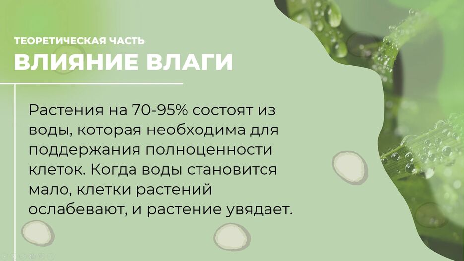 изображение_2023-05-13_133108944.png