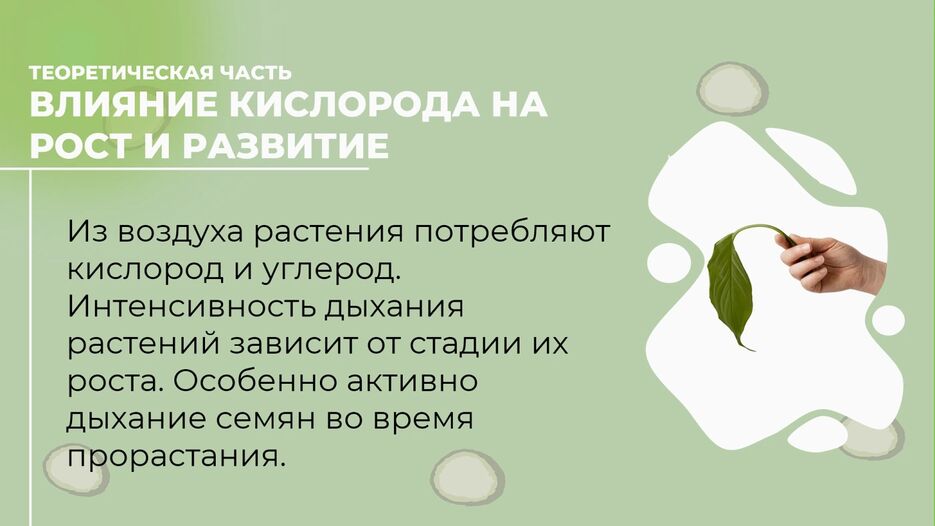 изображение_2023-05-13_133115228.png