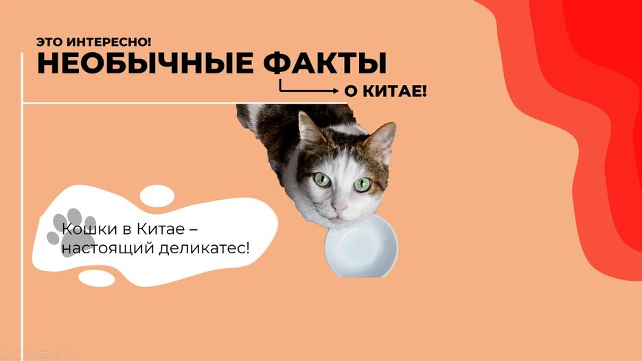 изображение_2023-05-13_133338029.png