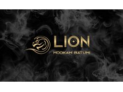 Разработка логотипа и фирменного стиля для LION