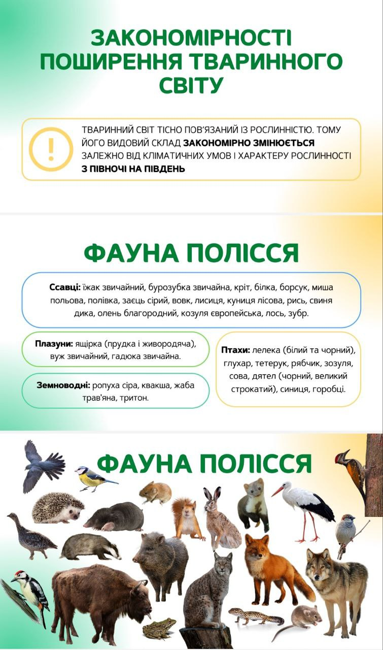изображение_2023-05-14_203141537.png