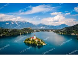 Удаления Водяных Знаков ( Watermark Removal)