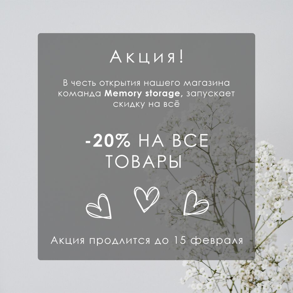 ms promotion 2.png