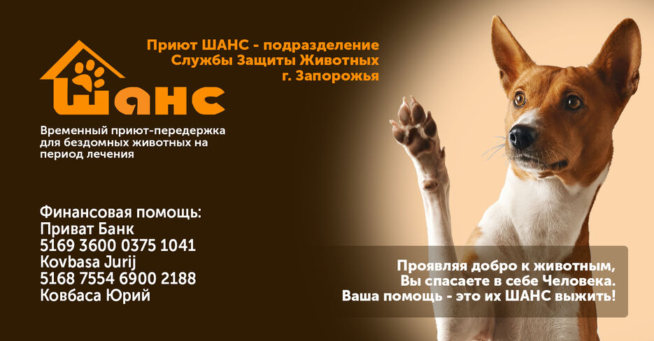 шанс!.jpg