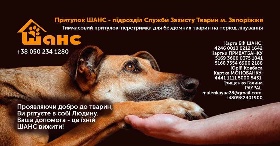 шанс приют шапка фейсбук группа.png