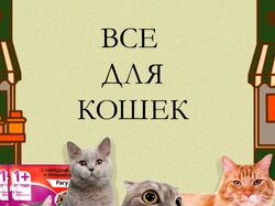 баннер для сайта