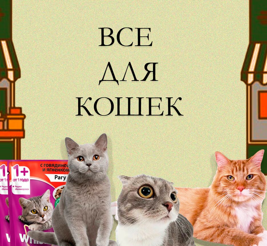 ДЛЯ КОШЕК.png