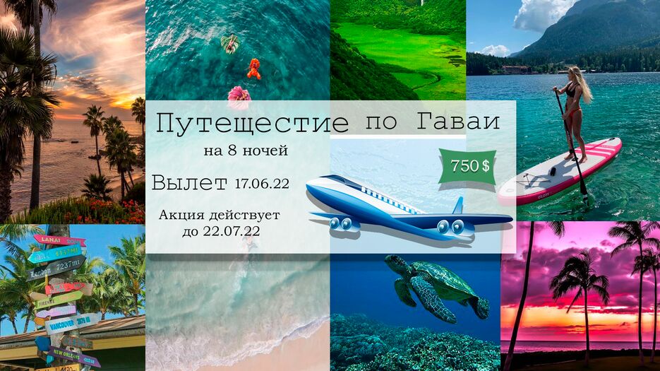 гаваи.png