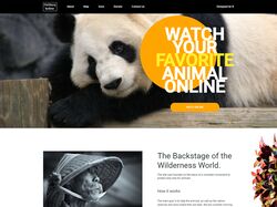 Online zoo