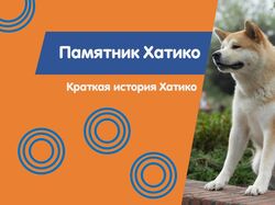 Презентация хатико