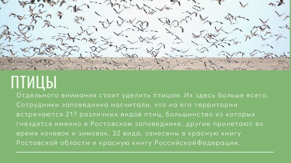IMG-20230404-WA0008.jpg