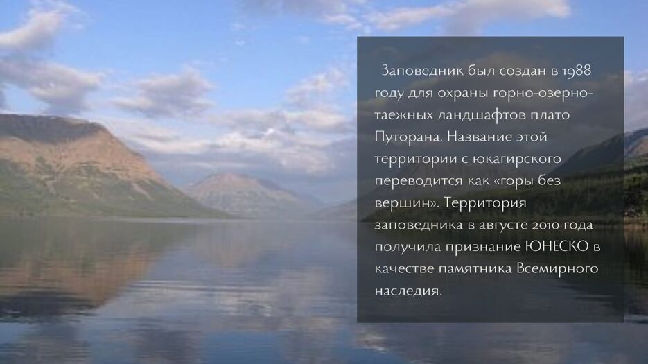 IMG-20230405-WA0011.jpg