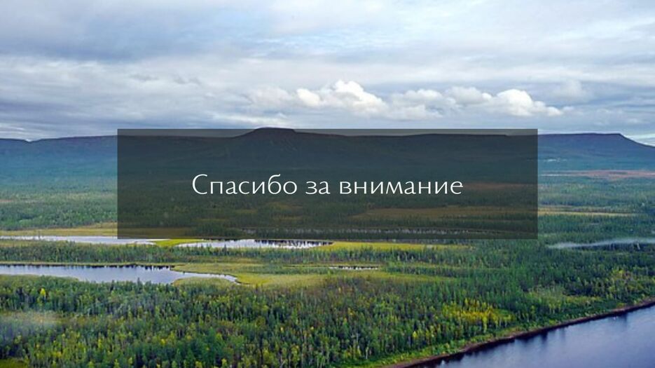 IMG-20230405-WA0015.jpg