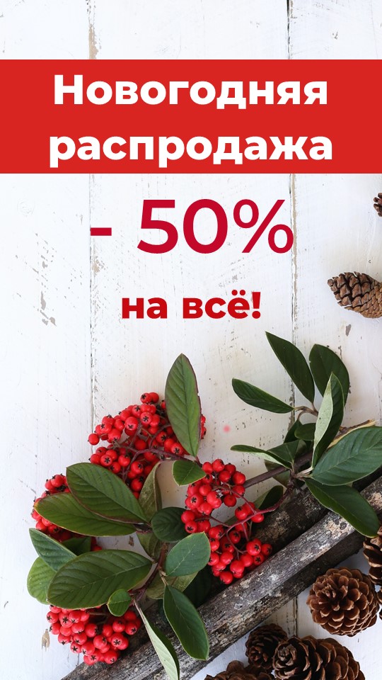 шишки1.jpg