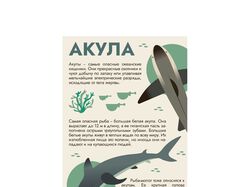 Иллюстрирование детской энциклопедии о животных