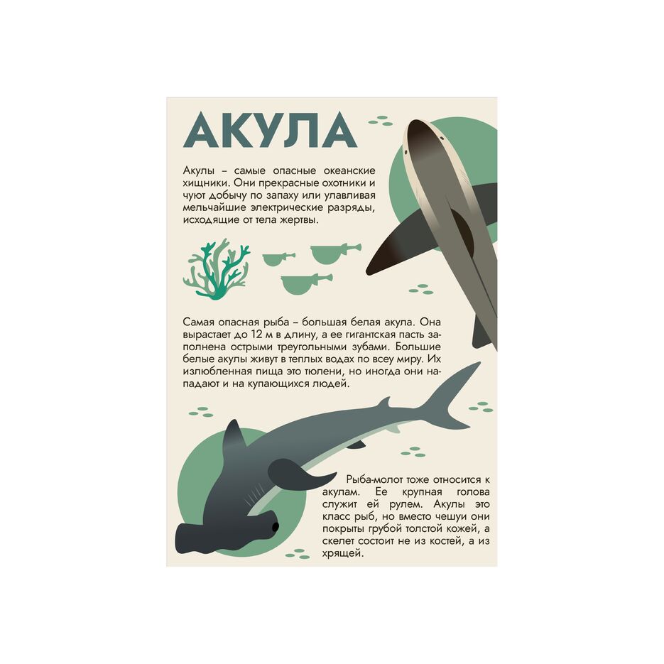 портфолио 3.png