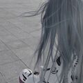 sxqdx