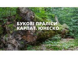 Приклад презентації
