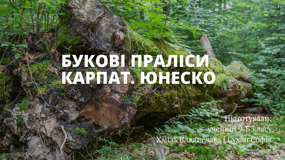 Букові праліси Карпат. ЮНЕСКО-1.png
