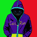 Cat_Run