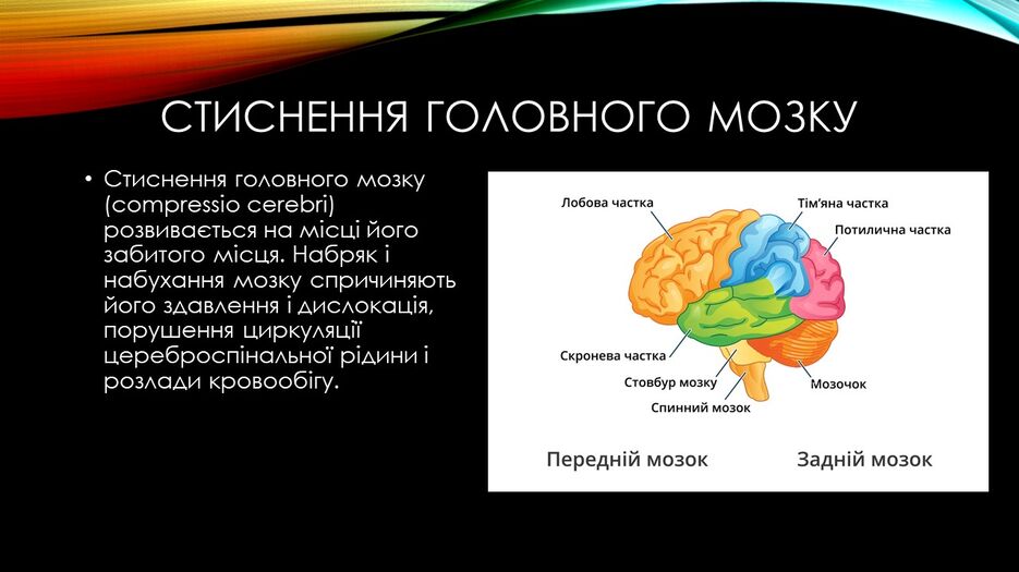 Слайд18.JPG