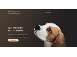 Shlter дом для животных