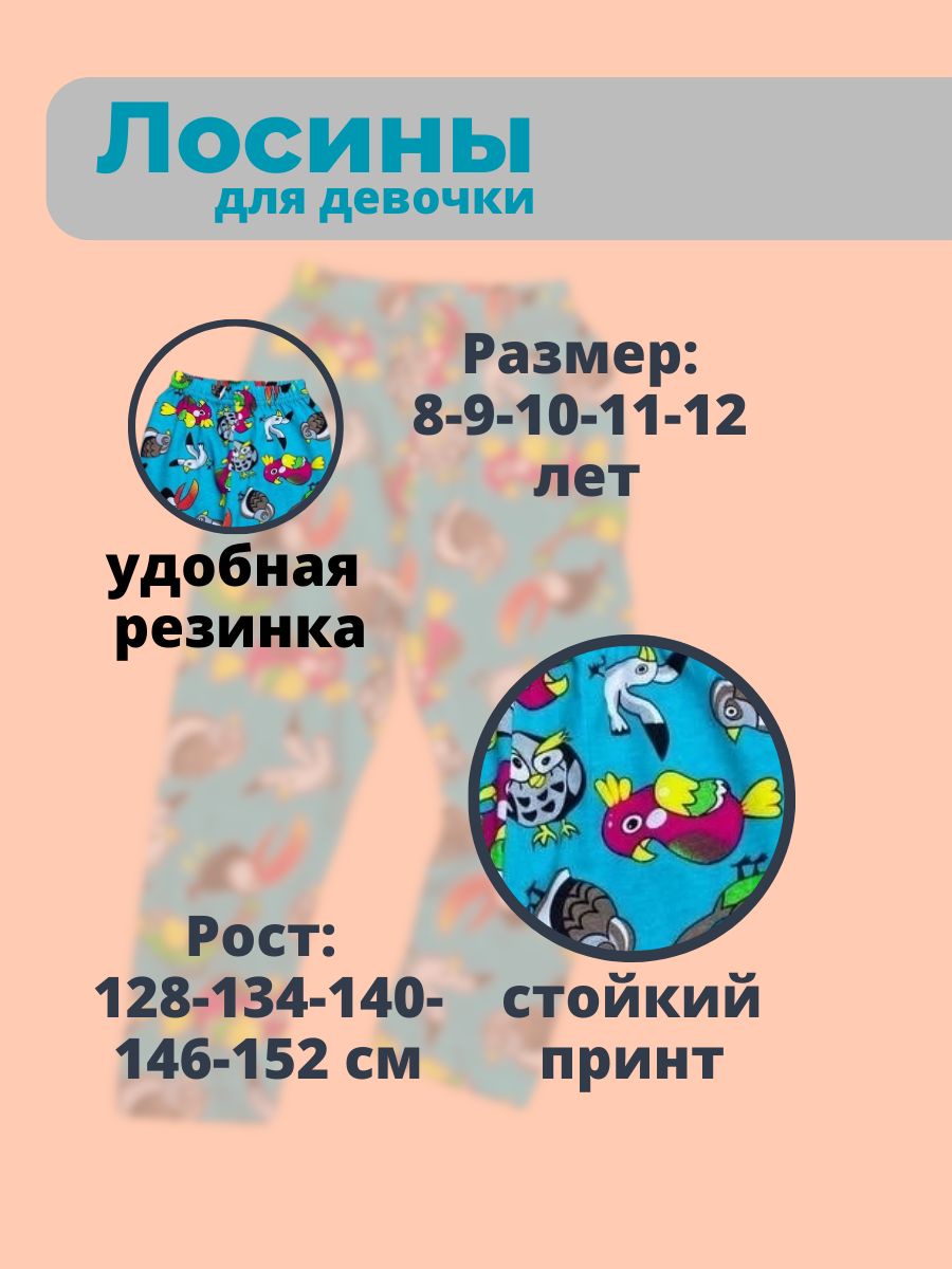 Kar_02.png