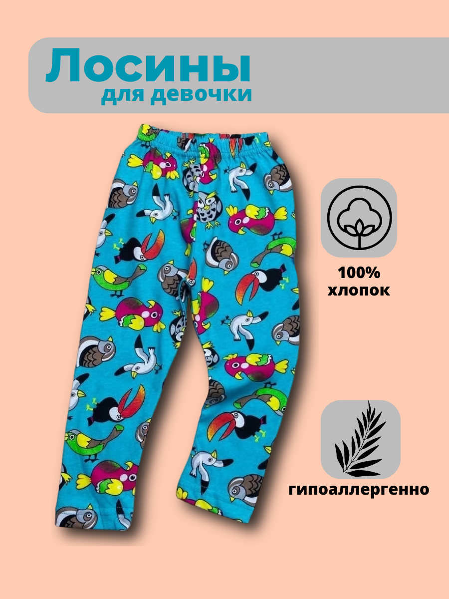 Kar_01.png