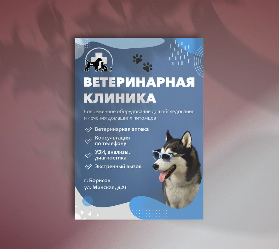 ветклиника2.jpg