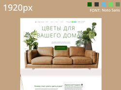 Цветы для вашего дома