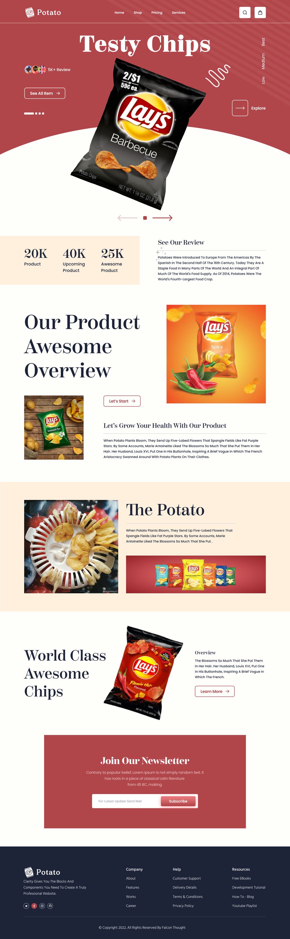 Testy chips Landing page.png