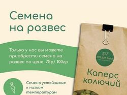 Креатив-баннер