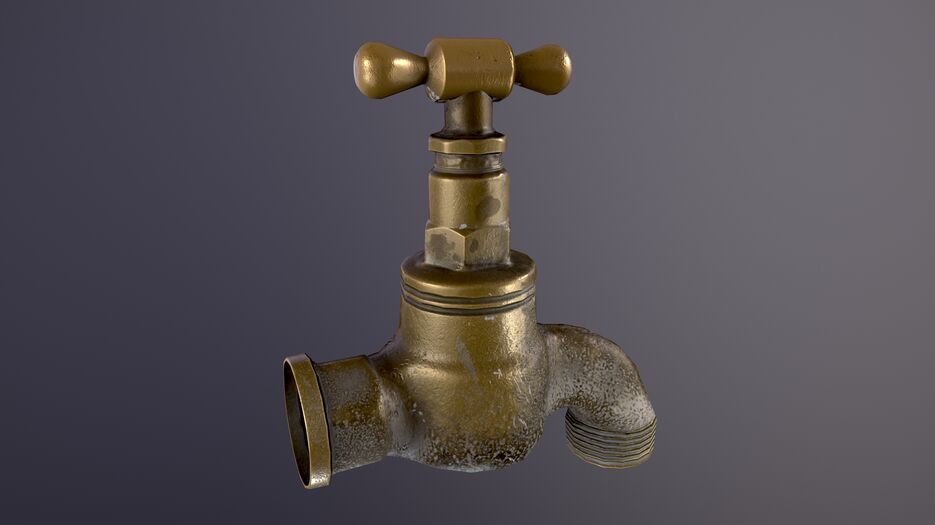 1005_Viewport.png