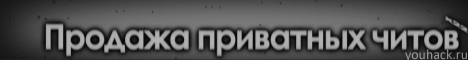Баннер для youhack.ru.gif
