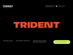 Адаптивна верстка багатосторінкового сайту "trident"