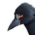 aifos_designer