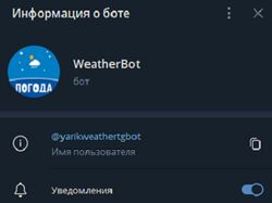 Telegram Bot на Python