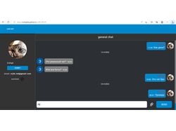 неполноценная копия telegram