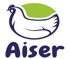 logo.jpg