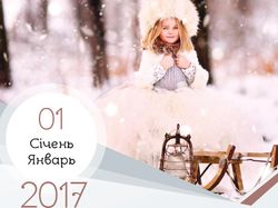 Individual order of the calendar for 2017