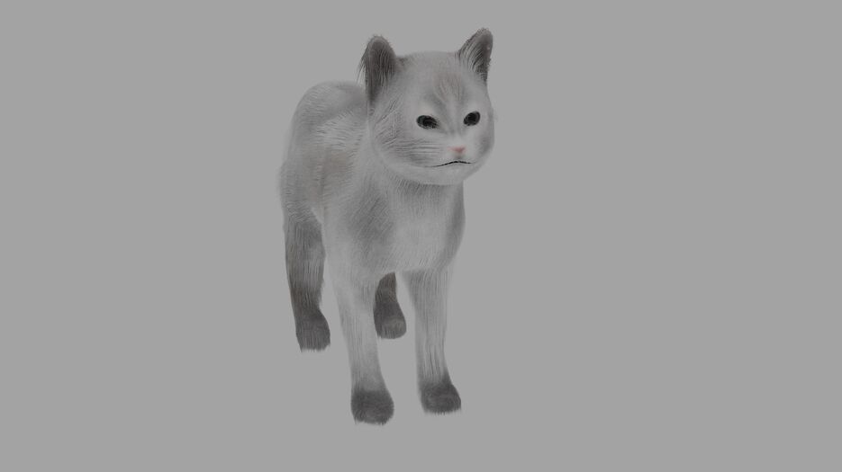 кот4.png