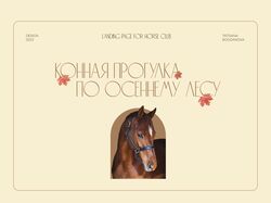 Лендинг для конного клуба Spirit