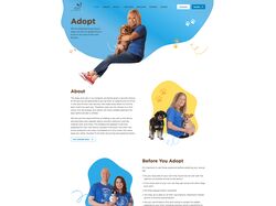 WordPress Developer