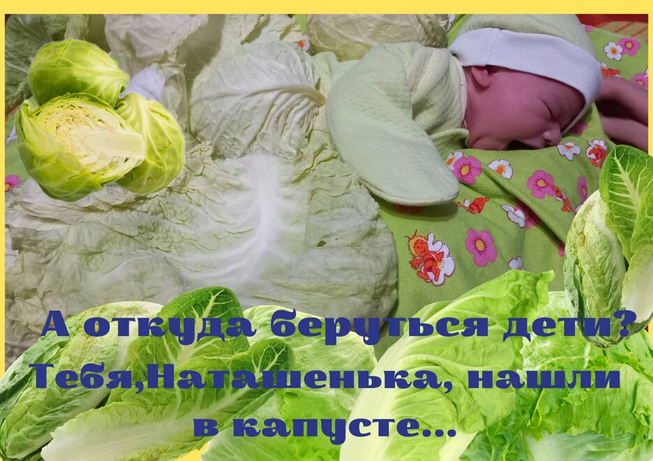 IMG-c534cdf65052dd9f68a73e5a2325eb59-V.jpg