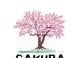 Логотип студии анимации "SAKURA STUDIOS"
