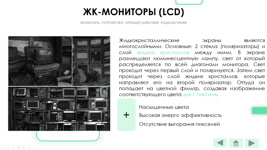 image 11.png